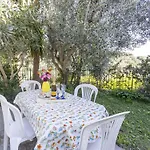 Graziella By Interhome Apartamento