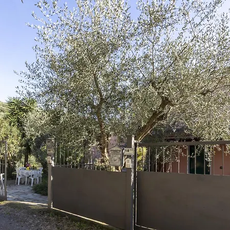 Appartamento Graziella By Interhome Imperia